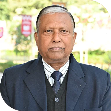 Our Faculties | Dev Bhoomi Uttarakhand University