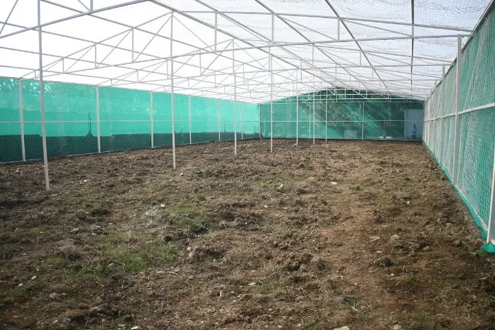 Agriculture Program